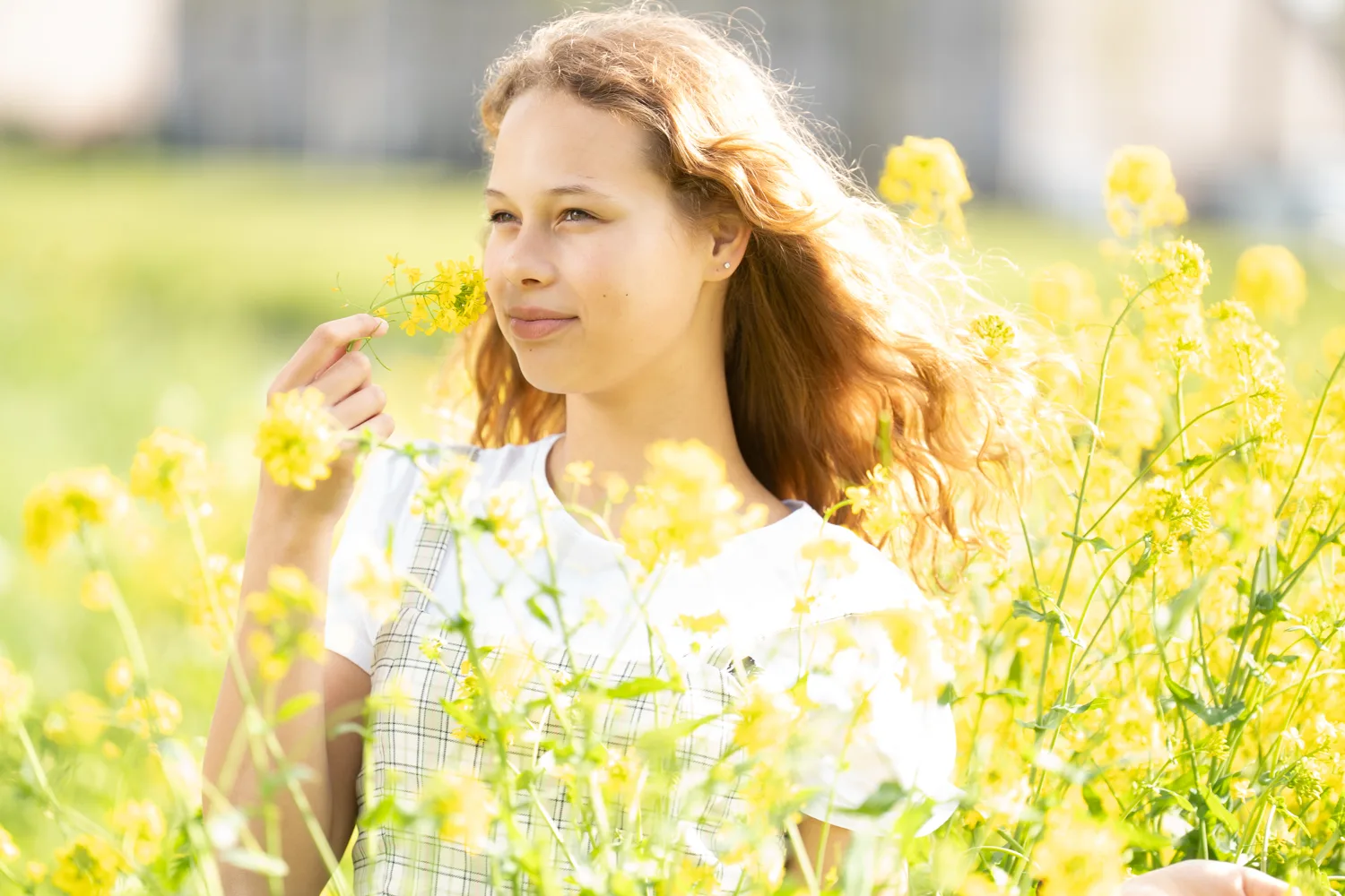 Jonge vrouw tussen gele bloemen in zonlicht